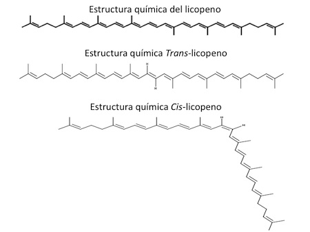 Estructura química del licopeno y sus isómeros
